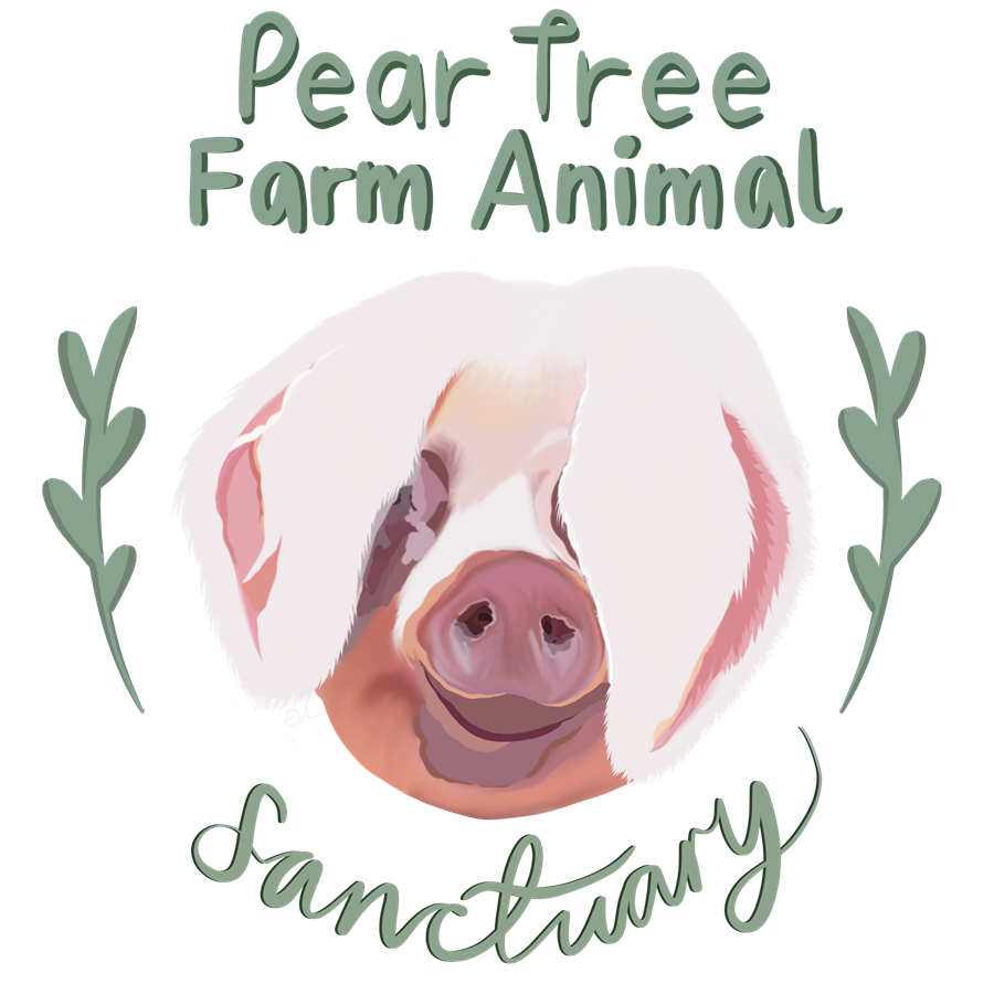 Pear Tree Farm Animal Sanctuary